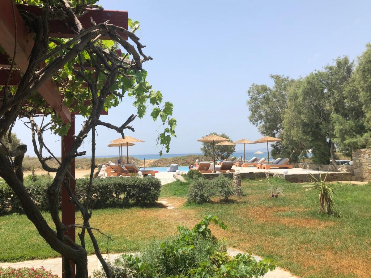 Acti Plaka Hotel מראה חיצוני תמונה