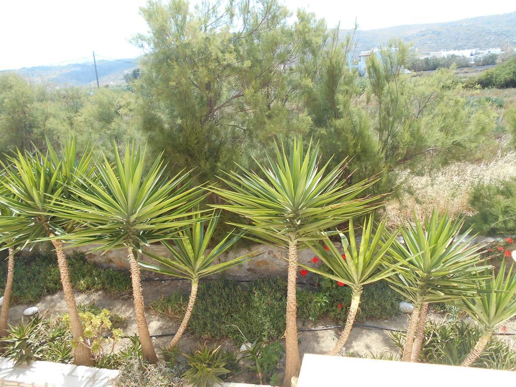 Acti Plaka Hotel מראה חיצוני תמונה